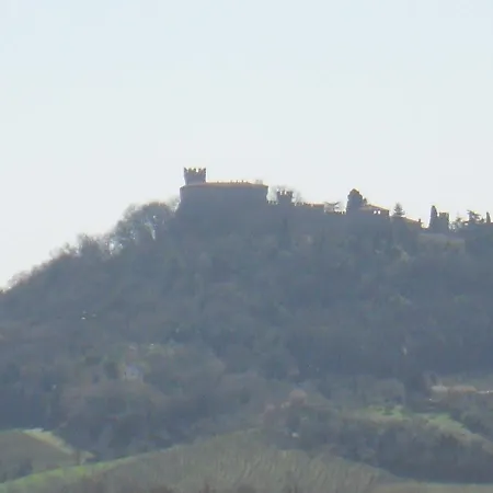 Darsena *